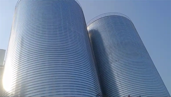 隆化2座混凝土高架卷板仓